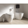 Унитаз приставной LAUFEN PRO RIMLESS напольный 530 x 360 x 430 мм 8.2295.6.000.000.1